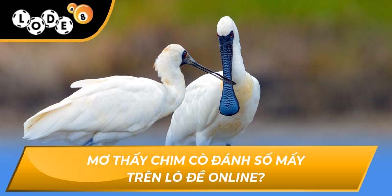 Mơ thấy chim cò